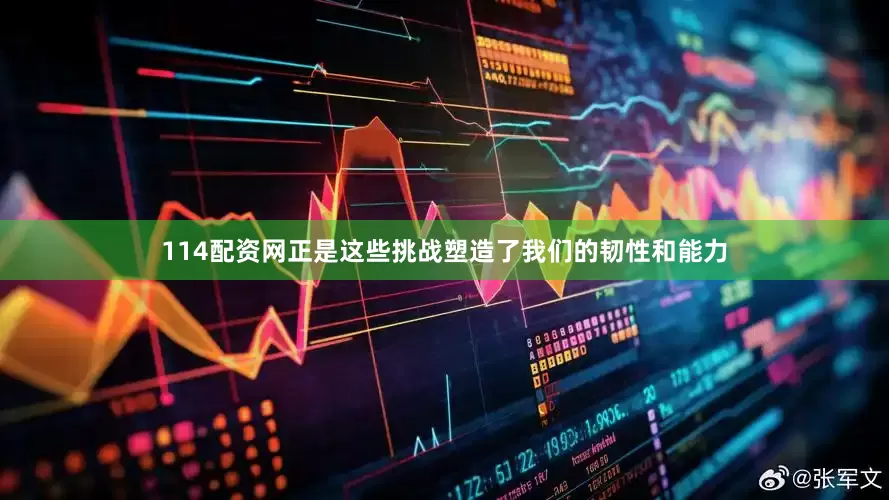 114配资网正是这些挑战塑造了我们的韧性和能力